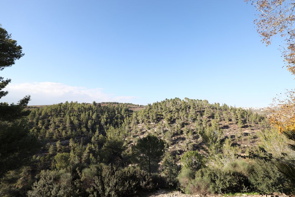 מהסמארטפון שלי